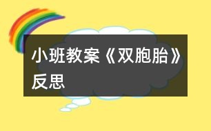 小班教案《雙胞胎》反思