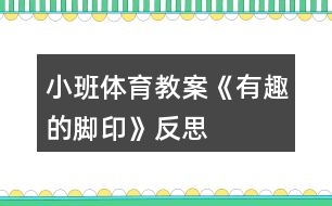 小班體育教案《有趣的腳印》反思