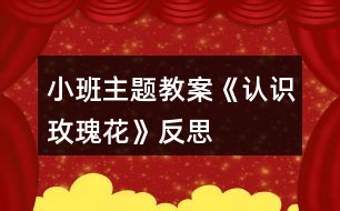 小班主題教案《認識玫瑰花》反思