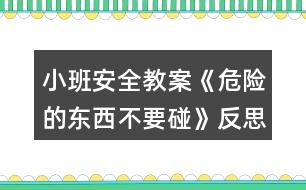 小班安全教案《危險(xiǎn)的東西不要碰》反思