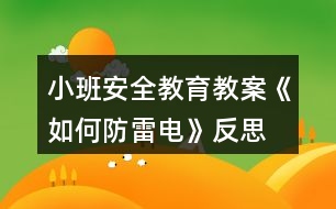 小班安全教育教案《如何防雷電》反思