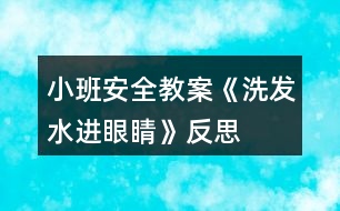 小班安全教案《洗發(fā)水進(jìn)眼睛》反思