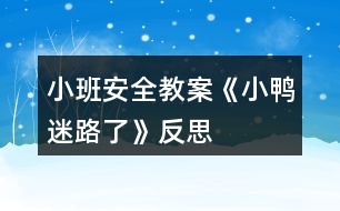 小班安全教案《小鴨迷路了》反思