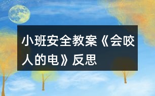 小班安全教案《會“咬人”的電》反思