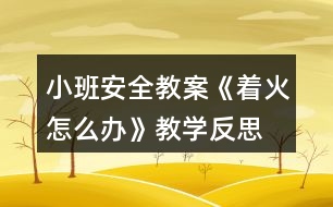 小班安全教案《著火怎么辦》教學(xué)反思