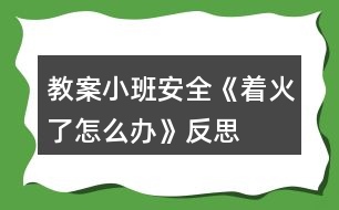 教案小班安全《著火了怎么辦》反思