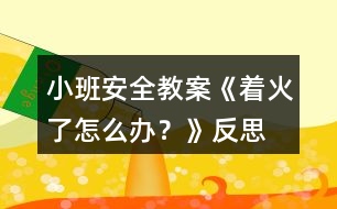 小班安全教案《著火了怎么辦？》反思