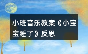 小班音樂教案《小寶寶睡了》反思