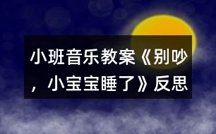 小班音樂教案《別吵，小寶寶睡了》反思