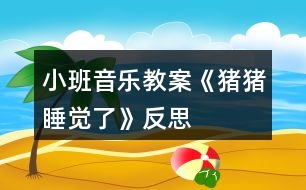 小班音樂(lè)教案《豬豬睡覺(jué)了》反思