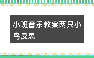 小班音樂教案兩只小鳥反思