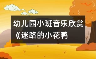 幼兒園小班音樂欣賞——《迷路的小花鴨》