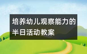 培養(yǎng)幼兒觀(guān)察能力的半日活動(dòng)教案