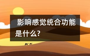  影響感覺(jué)統(tǒng)合功能是什么?