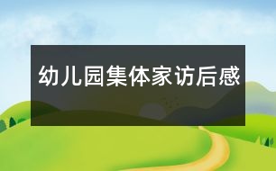 幼兒園集體家訪(fǎng)后感