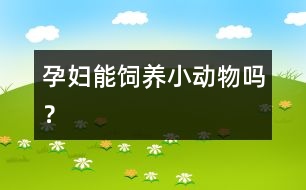 孕婦能飼養(yǎng)小動物嗎？