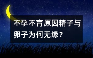 不孕不育原因：精子與卵子為何無緣？