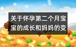 關(guān)于懷孕第二個(gè)月寶寶的成長(zhǎng)和媽媽的變化