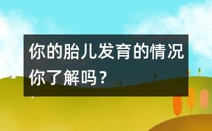 你的胎兒發(fā)育的情況你了解嗎？