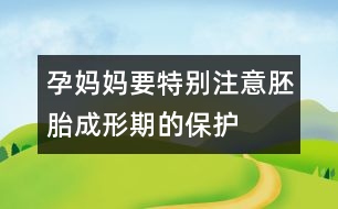 孕媽媽要特別注意胚胎成形期的保護