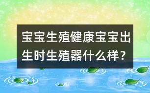 寶寶生殖健康：寶寶出生時生殖器什么樣？