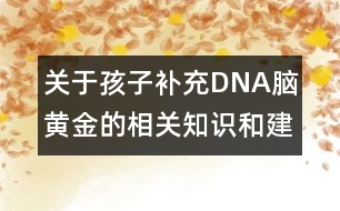 關于孩子補充DNA腦黃金的相關知識和建議