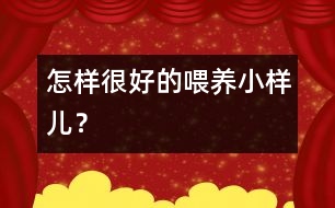 怎樣很好的喂養(yǎng)小樣兒？