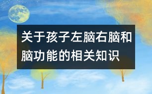 關(guān)于孩子左腦、右腦和腦功能的相關(guān)知識