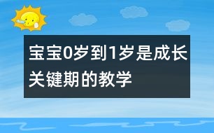 寶寶0歲到1歲是成長關鍵期的教學