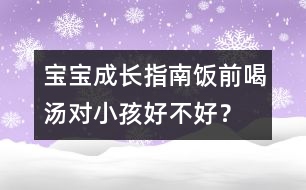 寶寶成長(zhǎng)指南：飯前喝湯對(duì)小孩好不好？