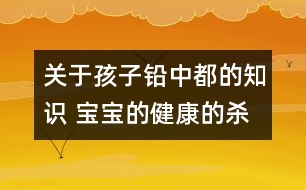 關(guān)于孩子鉛中都的知識 寶寶的健康的殺手