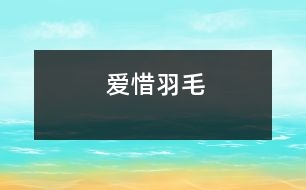 愛惜羽毛