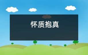 懷質抱真