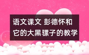 語文課文 彭德懷和它的大黑騾子的教學設(shè)計 課后習題答案