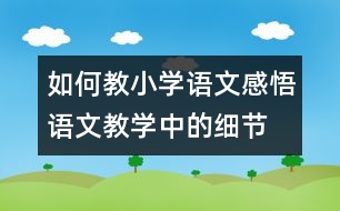 如何教小學語文：感悟語文教學中的細節(jié)