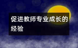 促進教師專業(yè)成長的經(jīng)驗