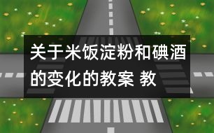 關(guān)于米飯、淀粉和碘酒的變化的教案 教學(xué)設(shè)計(jì)  新教科版六年級(jí)下冊(cè)科學(xué)教案