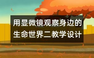 用顯微鏡觀察身邊的生命世界（二）教學(xué)設(shè)計—新教科版六年級下冊科學(xué)教案