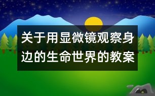 關于用顯微鏡觀察身邊的生命世界的教案 教學設計 新教科版六年級下冊科學教案