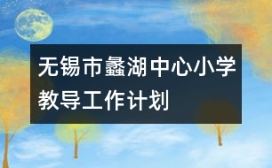 無(wú)錫市蠡湖中心小學(xué)教導(dǎo)工作計(jì)劃