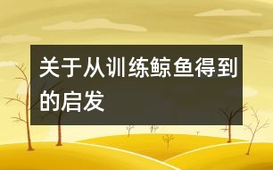 關于從訓練鯨魚得到的啟發(fā)