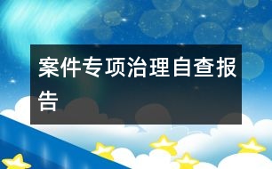 案件專項治理自查報告