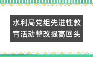 水利局黨組先進(jìn)性教育活動(dòng)整改提高回頭看自查報(bào)告