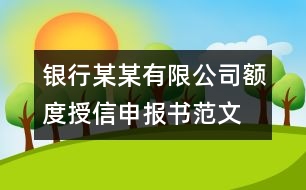 銀行某某有限公司額度授信申報(bào)書(shū)范文