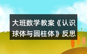 大班數(shù)學(xué)教案《認識球體與圓柱體》反思