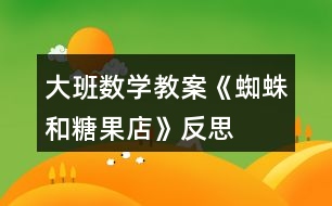 大班數(shù)學教案《蜘蛛和糖果店》反思