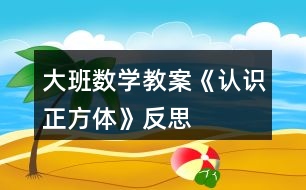 大班數(shù)學教案《認識正方體》反思