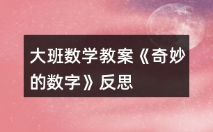 大班數學教案《奇妙的數字》反思