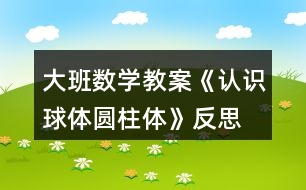 大班數(shù)學教案《認識球體、圓柱體》反思