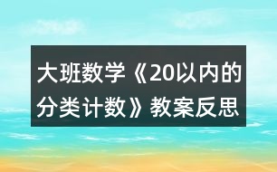 大班數(shù)學(xué)《20以內(nèi)的分類計(jì)數(shù)》教案反思